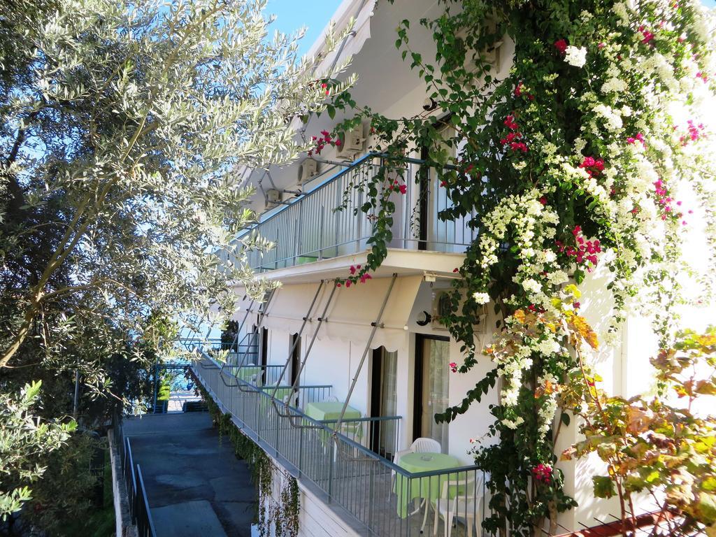 Blue Sky Apartment